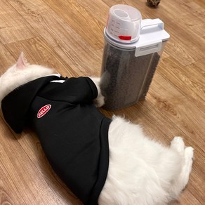 달빛마켓 강아지 고양이 애완 사료보관통 사료보관함 2500ml, 2.5L, 1개