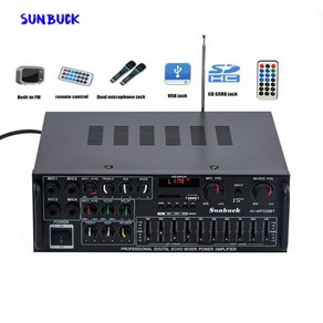 Sunbuck 노래방 사운드 앰프 21 채널 200W 2 고출력 FM USB MP3 10 세그먼트 오디오 이퀄라이저 차량용 블루투스 앰프, 2) 220V, 2) 220V