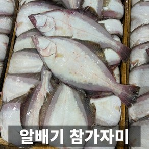 청담농수산 손질 알배기 동해 참가자미 도다리, 1개, (중 사이즈)  4-6미