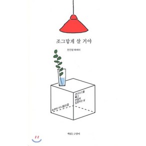 조그맣게 살 거야:군더더기를 빼고 본질에 집중하는 삶 | 진민영 에세이