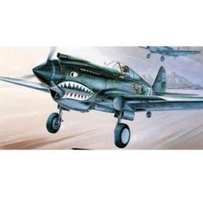 (ACA12280) 아카데미 1/48 P-40C 토마호크, 1개