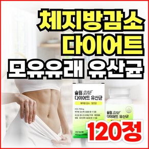 bnr17 비엔날씬 bmr17 유산균 다이어트 보조제 비에날씬 알약 / 비피더스 유산균 체지방감소 모유 유래 유산균 L 프롤린 락토바실러스 가세리 가르시니아