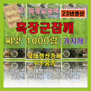 흑장군참깨 씨앗 (1000립)