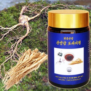 천봉산삼 산양삼 국산 약도라지청 240g, 1개