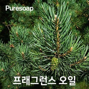 엔피솝 파인(Pine) 프래그런스오일 인공향 캔들 디퓨저 방향제 DIY 만들기, 10ml, 1개