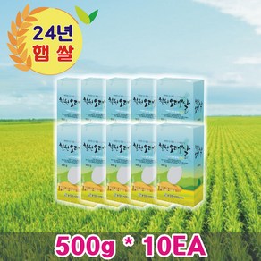 철원오대 500g 진공포장 10개 세트, 1개