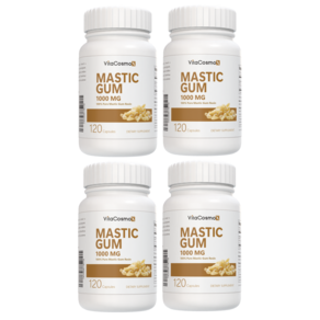 PipingRock 2개세트 매스틱 검 1000mg 120정 Mastic Gum 120 tablets