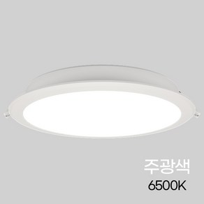 비츠온 다운라이트 LED 슬림8인치 40W 주광색