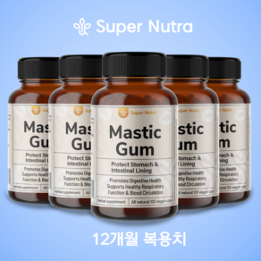 미국빠른직구 수퍼누트라 매스틱검 1000mg 120정 60일분, 6개