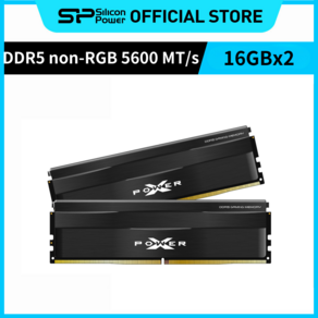 실리콘파워 Silicon Powe non-RGB DDR5-5600 16GB*2 CL40 PC5-44800 데스크탑 메모리 램, 블랙, 2개