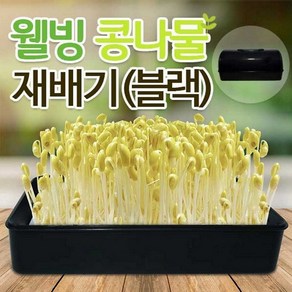 별도표기 집에서 콩나물키우기 콩나물시루 무순 새싹보리 키우기 수경재배기 새싹 재배기 미니텃밭, 1개