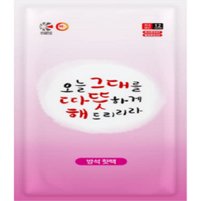 원데이홈 오래가는 방석핫팩 400g, 10개