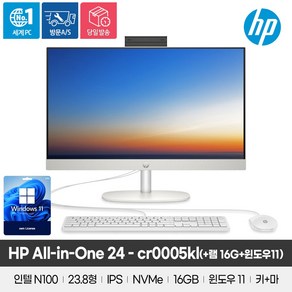 HP 2024 올인원 24 N-시리즈 인텔 12세대, 256GB, 16GB, WIN11 Po