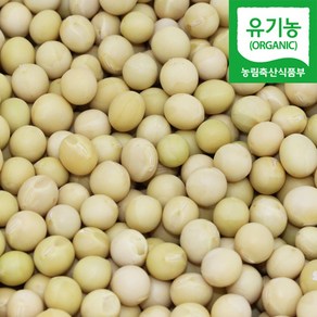 직송 국산 유기농 메주콩 대두 백태콩 노랑콩, 500g, 1개