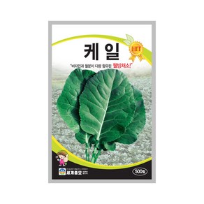 케일 씨앗 500립 샐러드 쌈 채소 kail seed