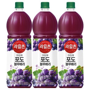 해태 과일촌 포도블루베리 1.5L 포도주스/과일주스, 10개