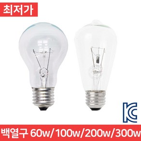 백열구 백열등 램프 전구 60w 100w 300w 백열램프 백열전구, 백열구 200w, 1개