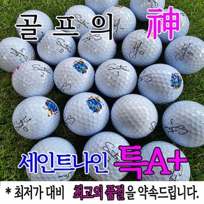 골프의 신 세인트나인 로스트볼 특A+급 화이트 칼라혼합 3피스, 1개, 10개입