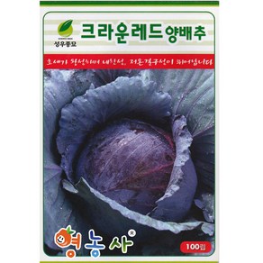 크라운 적양배추 씨앗 100립 빨간 양배추씨 종자, 레드양배추, 1개