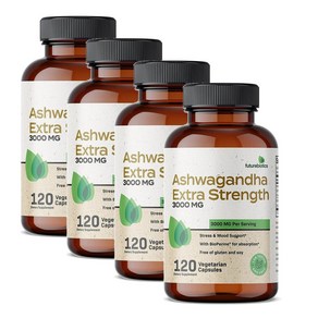 퓨쳐바이오틱스 아슈와간다 3000mg Futuebiotics Ashwagandha Exta Stength, 4개, 120정