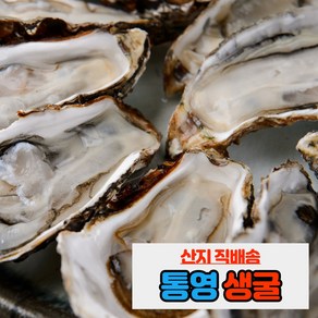 내고향농수산 통영 제철 생굴 석화 각굴 하프셀 1kg 5kg 10kg, 생굴(1kg), 1개, 1