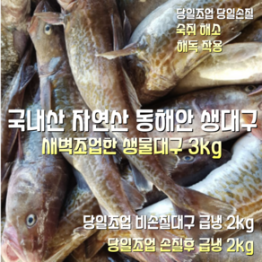 [산지직송] 국내산 자연산 동해안 생대구 새벽조업한 생물 대구 3kg 5~6미. 1박스