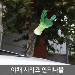 야채 안테나볼. 당근.청경채.가지.무.자동차 안테나볼, 사과