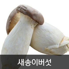 약수농장 새송이버섯 2kg, 1박스