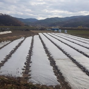 서리방지부직포 못자리부직포 냉해방지 마늘부직포 고추부직포 한랭사 한냉사 병충해방지 겨울작물 18g 폭2m 길이400m, 1개