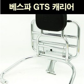 베스파 GTS 125 300 캐리어 등받이 P6861, 1개