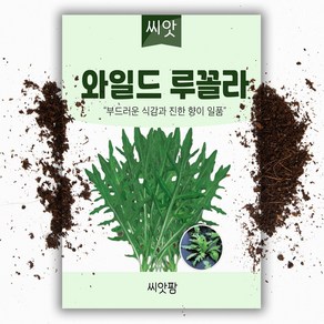 헬프팜 로켓샐러드 1000립 아람종묘 와일드루꼴라 씨앗, 1개