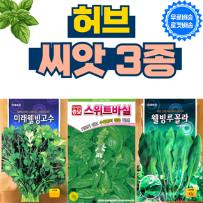 허브씨앗 3종 스위트 바질 루꼴라 고수 씨앗 허브 키우기 종자