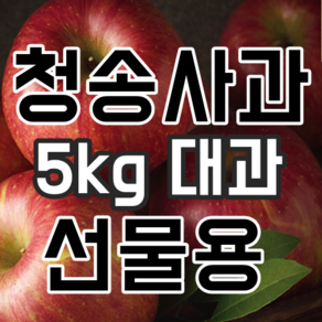 청송사과선물세트 5kg 대과 24년 햇사과 부사