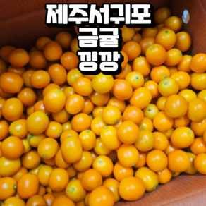 제주 서귀포 낑깡 금귤 중소과 2.5kg 대과 1.5kg, 중소과2.5kg, 1개