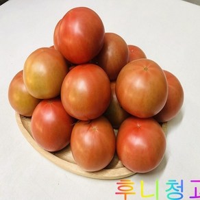 후니청과 신선한[특품]완숙 찰토마토(동양종) 완숙토마토