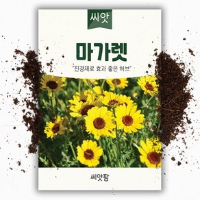 씨앗팜 허브 마가렛 씨앗 (600립), 1개