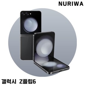 삼성전자 갤럭시 Z 플립 6 자급제, 실버 쉐도우, 256GB