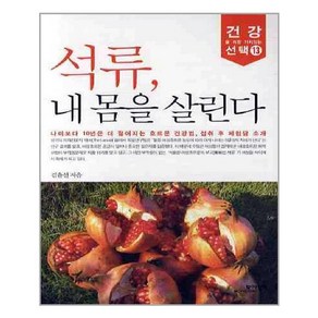 모아북스 - 석류 내몸을 살린다