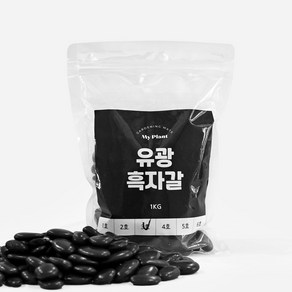 마이플랜트 유광흑자갈 1kg