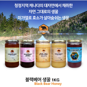 캐나다 블랙베어 꿀 캐나다 온타리오 꿀대회 1등 프리미엄 허니 생꿀 1KG, 메밀꿀 허니, 1개