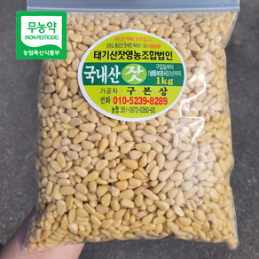 국내산 태기산잣 2-3번잣 1kg 황잣 백잣 [산지직송 견과류]