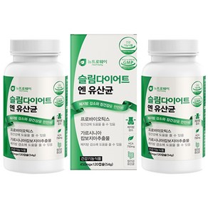 슬림다이어트 엔 유산균 다이어트유산균 프로바이오틱스 다이어트유산균