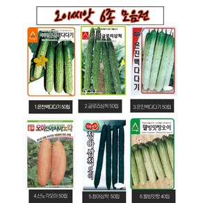 오이씨앗 6종세트 백다다기 노각 가시오이 웰빙맛짱 오이종자, 3.은진백다다기50립