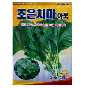 조은 치마아욱씨앗 종자 20g, 1개