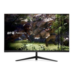 [비트엠] Newsync BG249F 게이밍 165 HDR 블랙 [무결점], 상세페이지 참조, 60cm