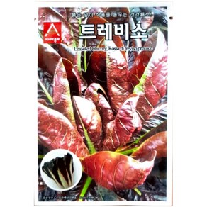 A-치커리-트레비소 1500립 채소 종자, 1개