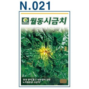 시금치 씨앗 모음 23년, N21 월동시금치 20g, 1개