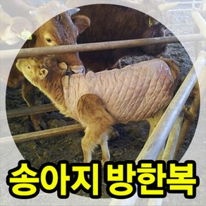 황소농기계 송아지방한복+넥워머 송아지조끼 깔깔이 축산기자재