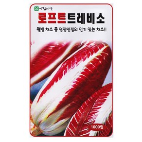 로프트 트레비소 씨앗 1000립 치콘 유럽치커리 종자 키우기, 1개