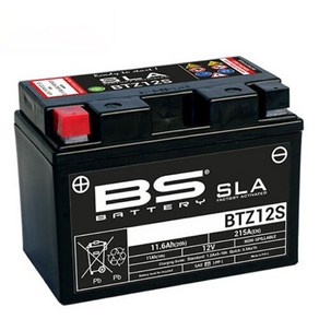 12- 티맥스530 BS배터리 BTZ12S 12V 11.6Ah YTZ12S, 1개